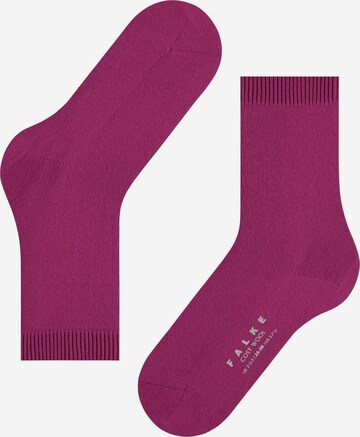 FALKE Socken in Lila