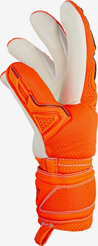 REUSCH Athletic Gloves 'Attrakt' in Orange