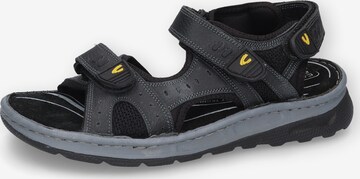 CAMEL ACTIVE Sandals in Black: front