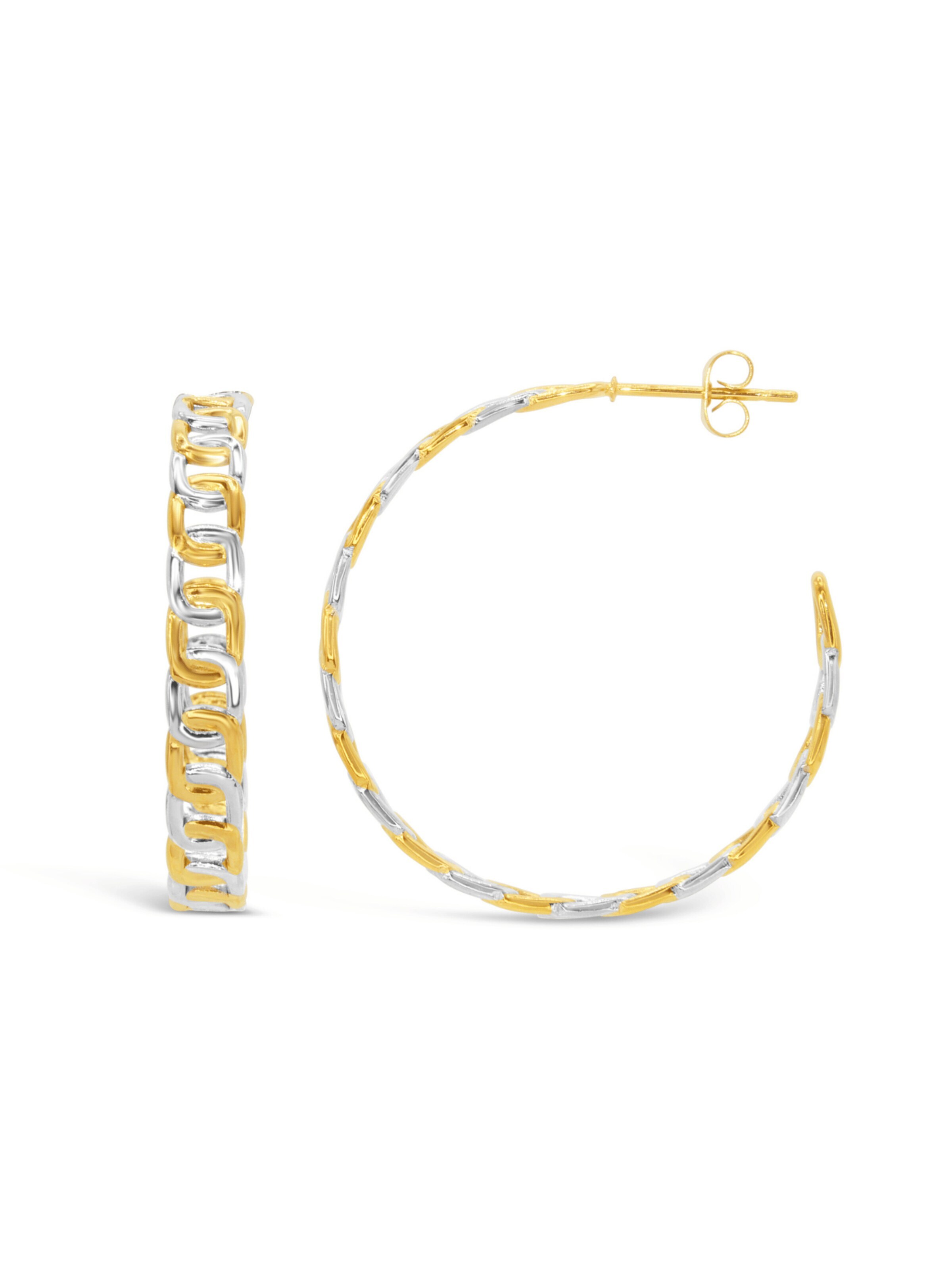 ARS-ARGENTI Earrings 'BI 2 COLOR' in Gold