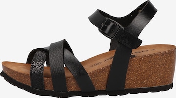 COSMOS COMFORT Strap Sandals in Black: front