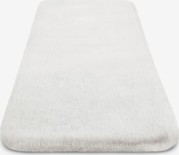 Aspero Carpet in White: front