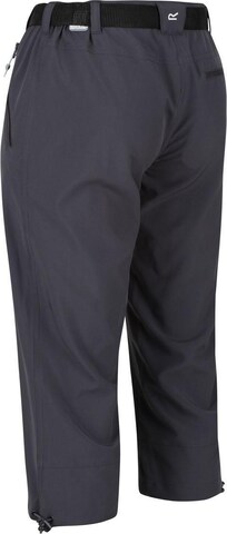 REGATTA Regular Outdoorhose 'Xert' in Grau