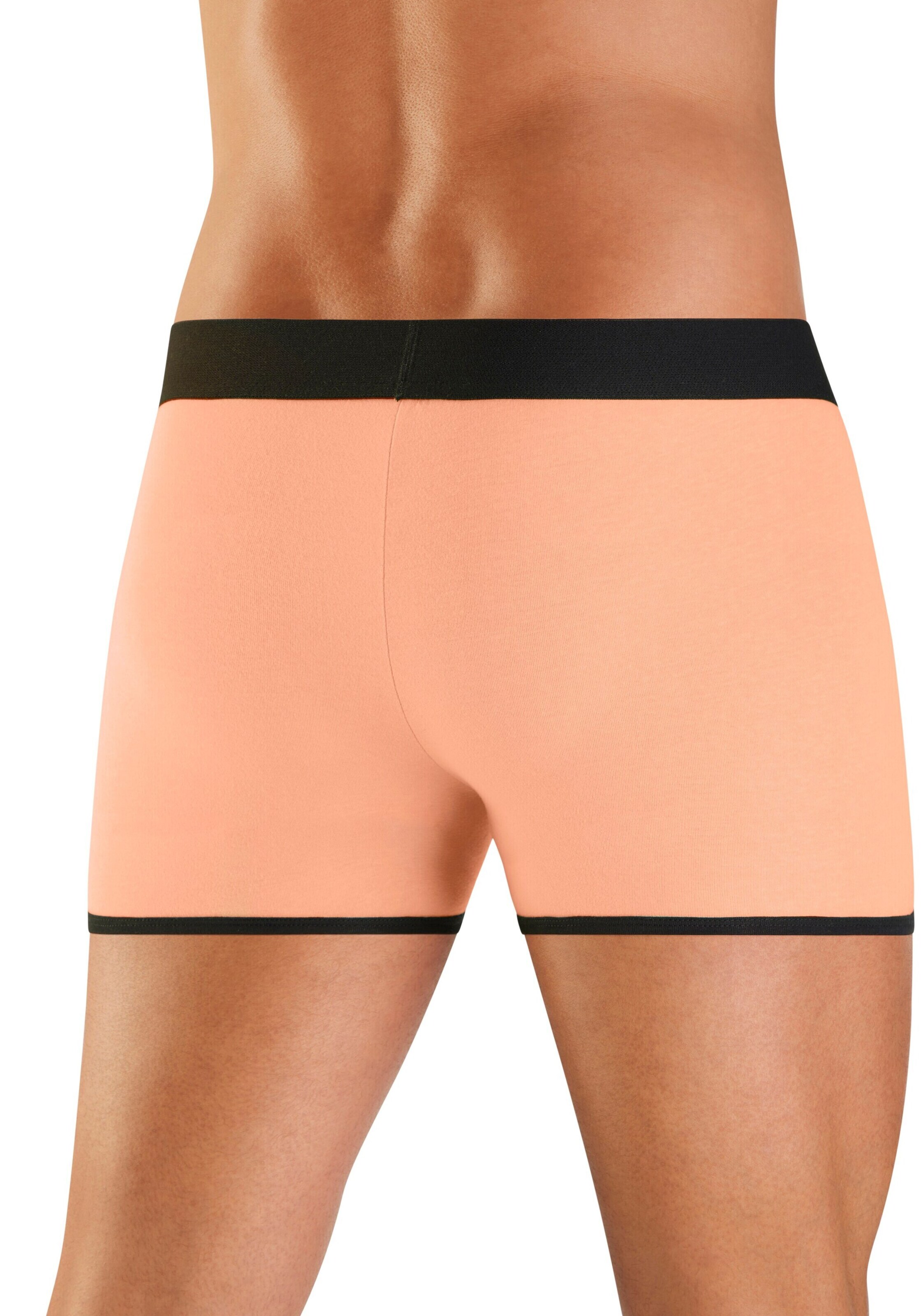 Bruno Banani Boxer shorts in Mixed colors