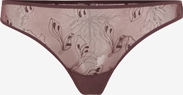 Samsøe Samsøe Stringit 'Audrey' värissä ruskea: etupuoli