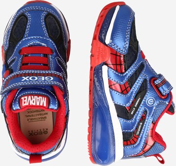 Baskets 'Bayonyc' GEOX en bleu