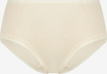 Albero Natur Panty 'Damen Bio-Baumwoll Hipster mit Spitze' in White: front