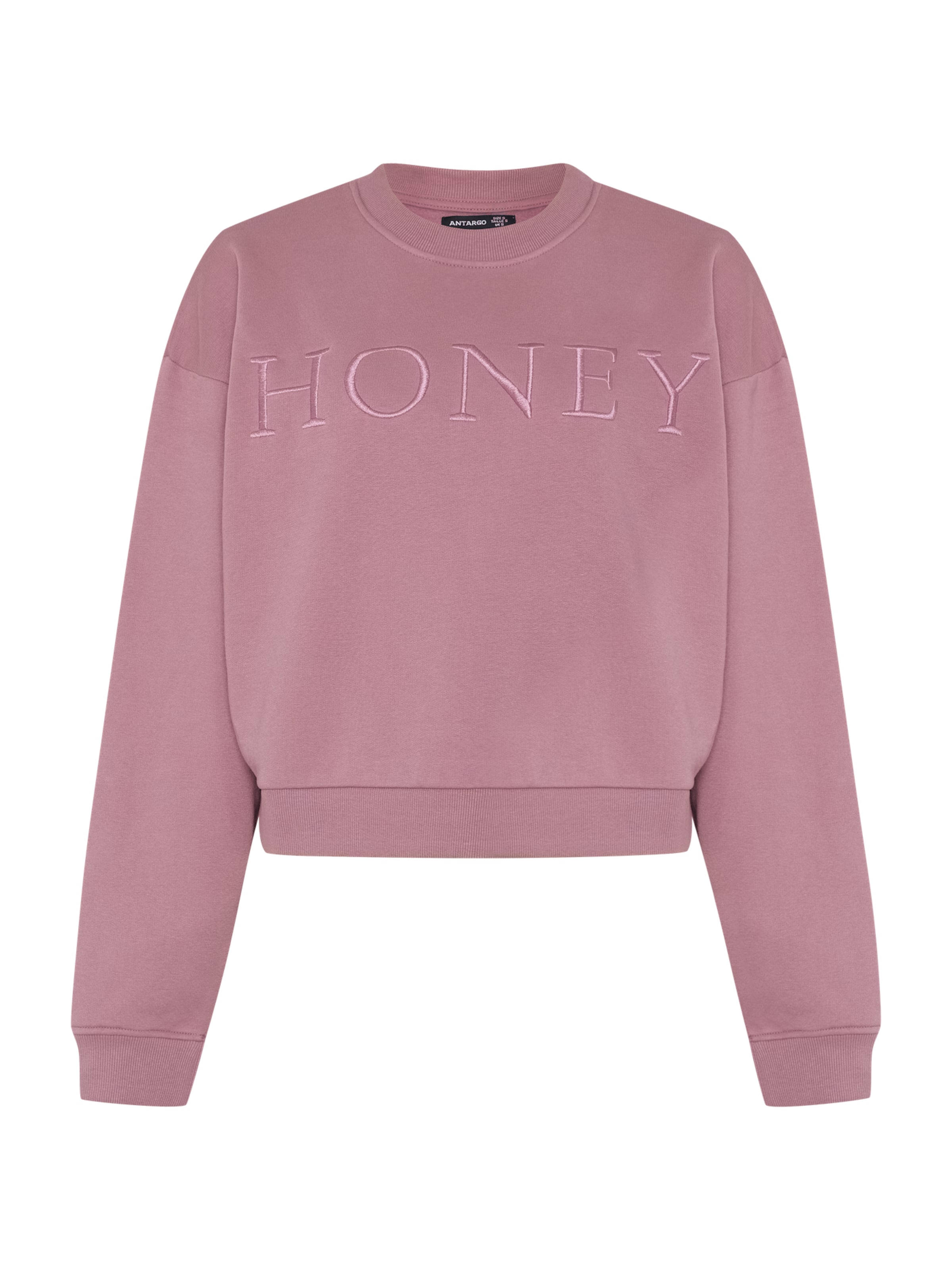 antargo Sweatshirt in Purple: front