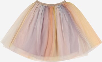 The New Skirt 'FIESTA' in Mixed colours