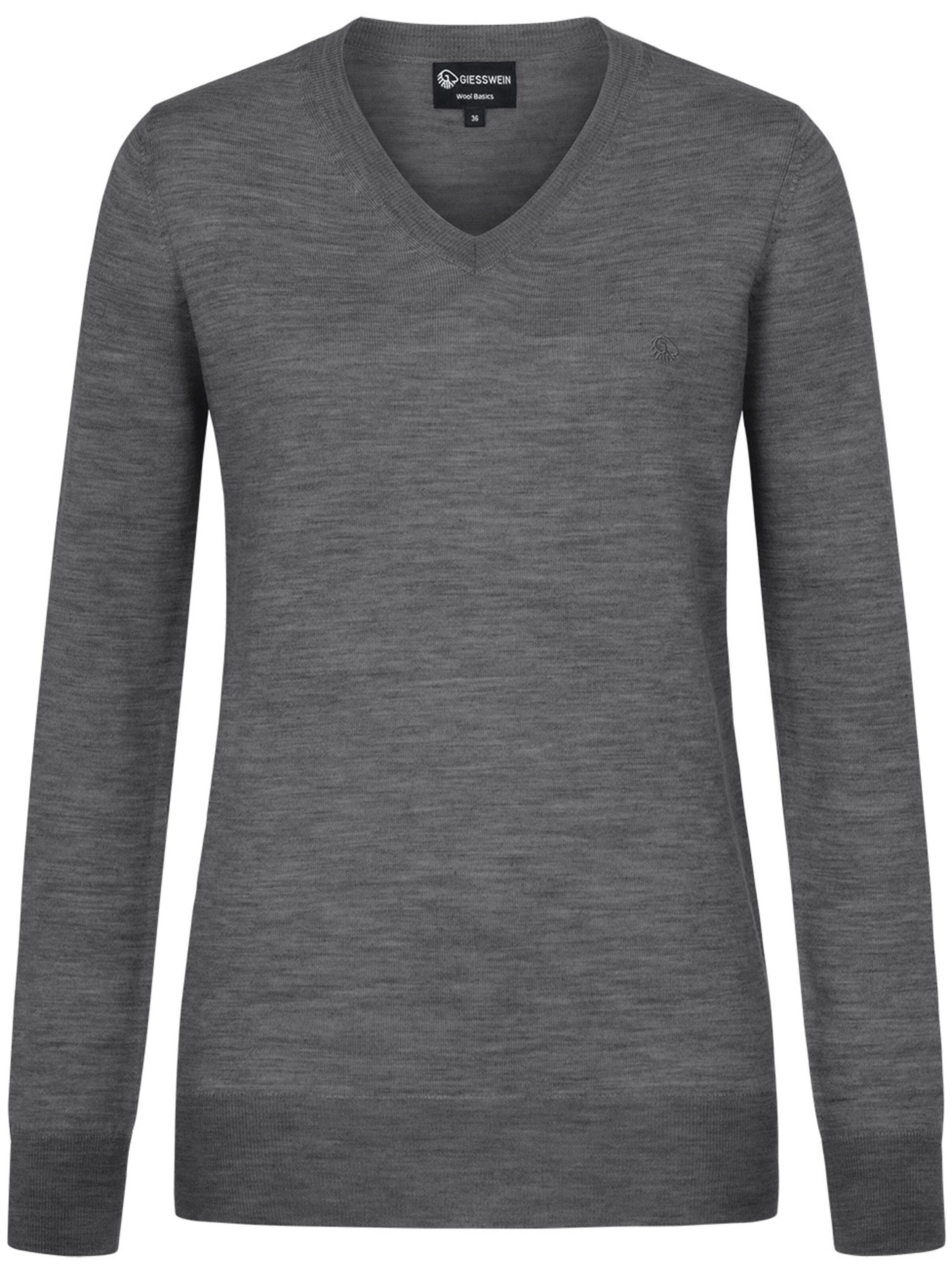 GIESSWEIN Trui in Grijs: voorkant