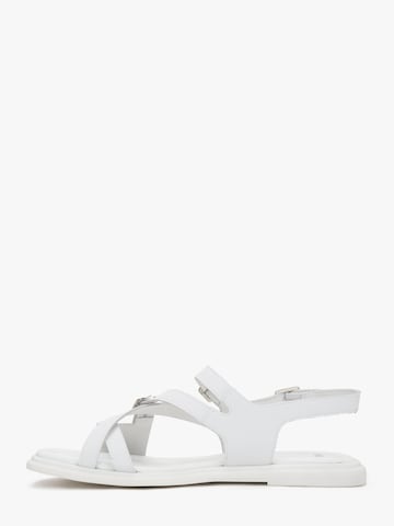 Estro Sandaal '24-11-02' in Wit
