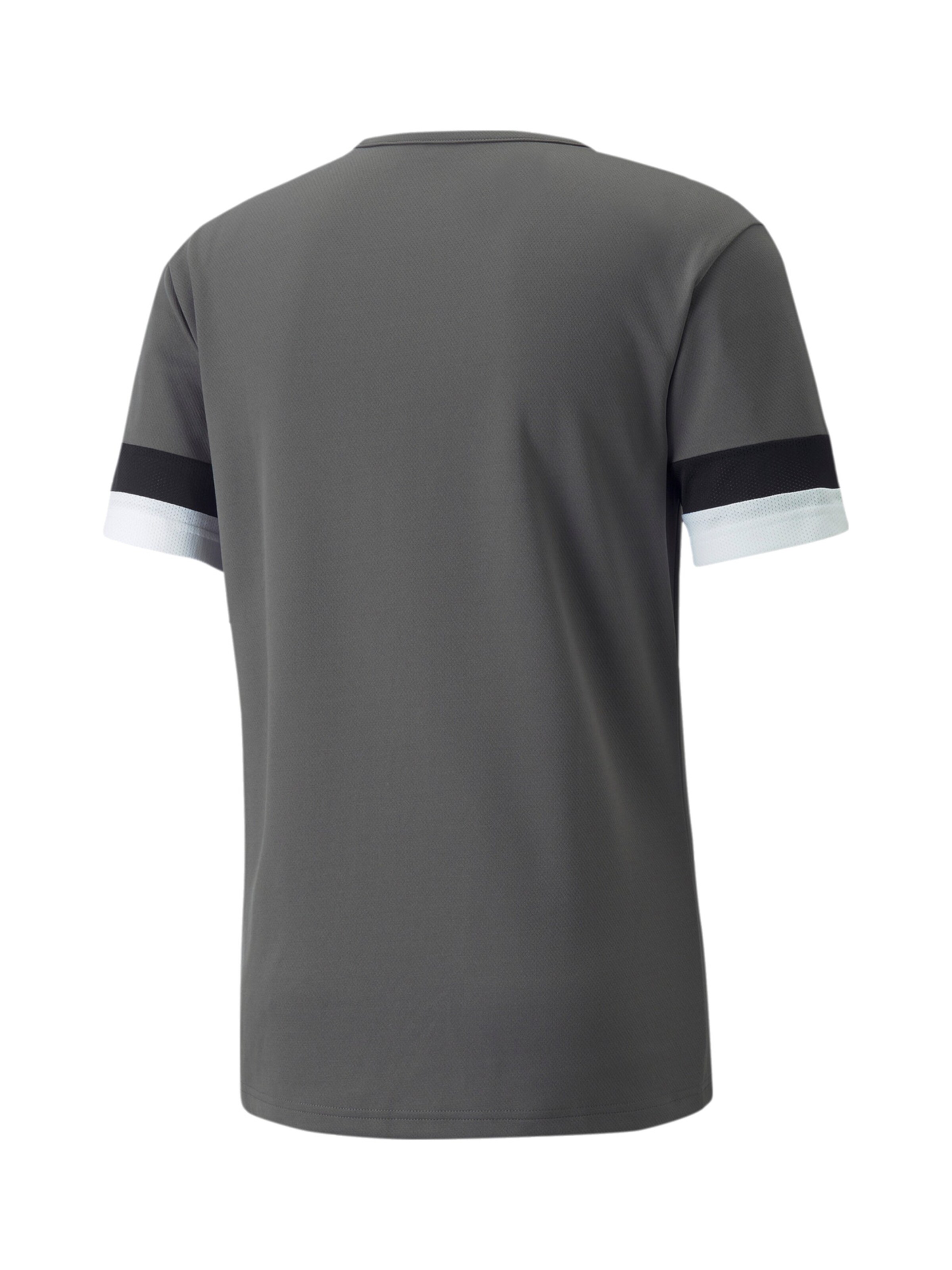 PUMA Jersey 'TeamRISE' in Grey