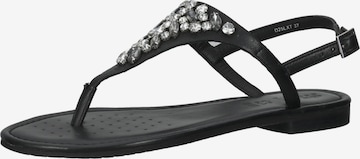 GEOX T-Bar Sandals in Black: front
