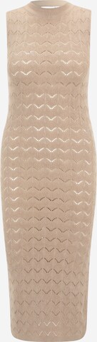 Vila Petite Knitted dress 'SIA' in Beige: front