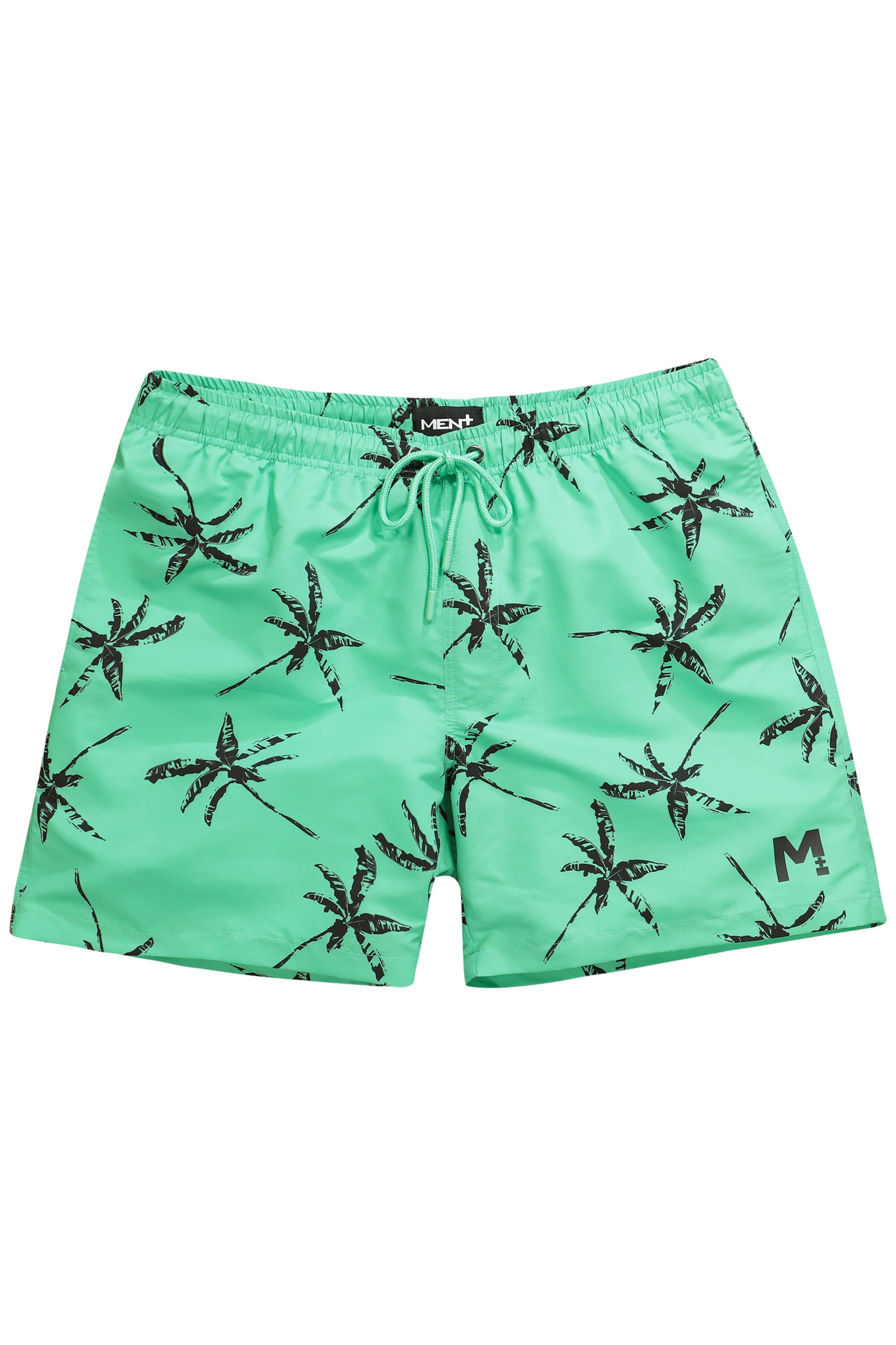 Men Plus Zwemshorts in Groen: voorkant