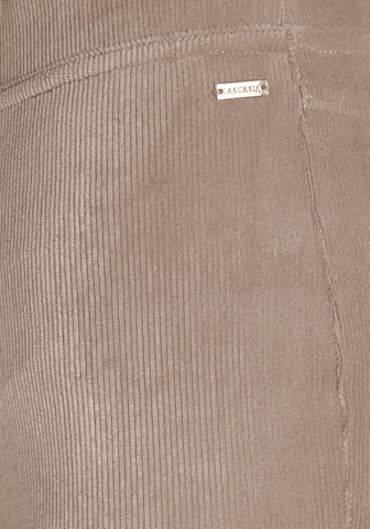 LASCANA Flared Broek in Bruin