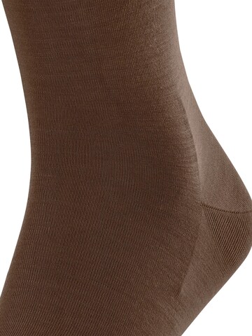 FALKE Socken 'ClimaWool'‌‌‌‌‌‌‌‌‌ in Braun
