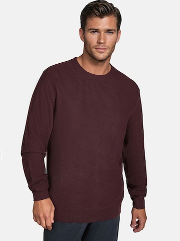 PIERRE CARDIN Pullover in Rot: Vorderseite