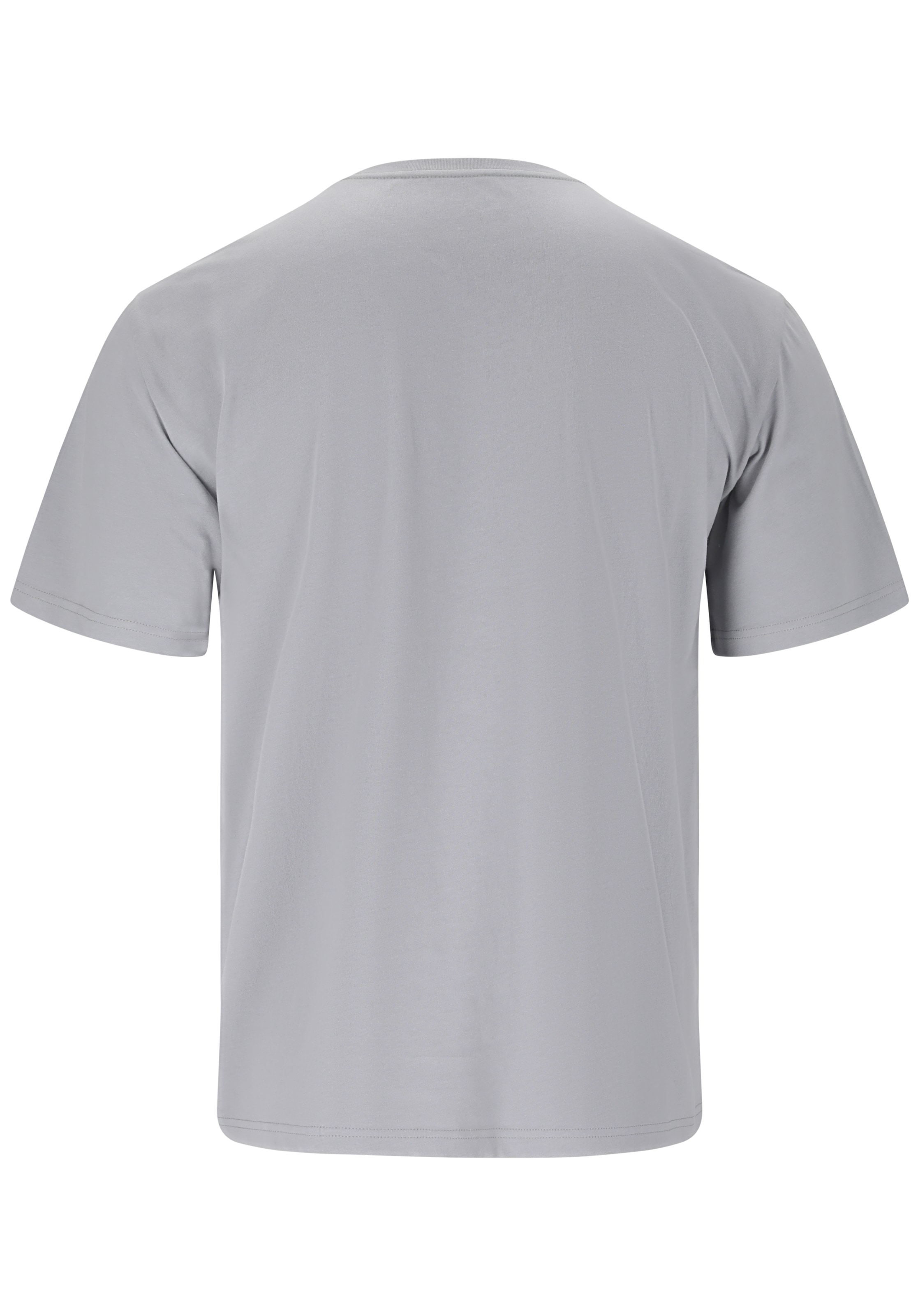 Whistler T-Shirt 'Cashew' in Grau