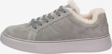 SIOUX Sneaker 'Tils sneak-D 005-LF' in Grau