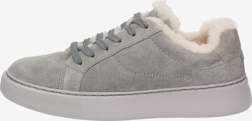 SIOUX Sneakers laag 'Tils sneak-D 005-LF' in Grijs