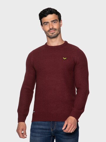 Threadbare Sweater 'Bluejay' in Red: front