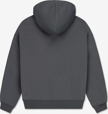 Johnny Urban Sweatshirt 'Cody Oversized' in Grey