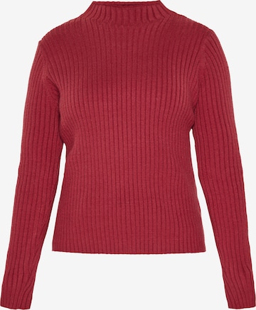 raudona usha BLUE LABEL Megztinis: priekis