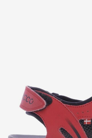 ECCO Sandalen 41 in Rot