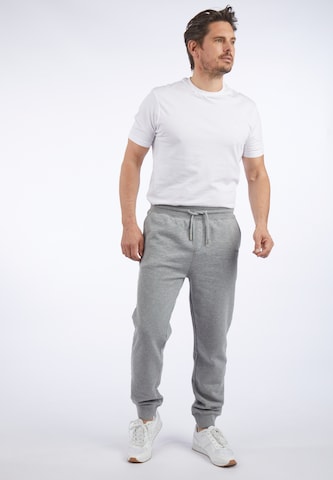 HECHTER PARIS Tapered Pants in Grey