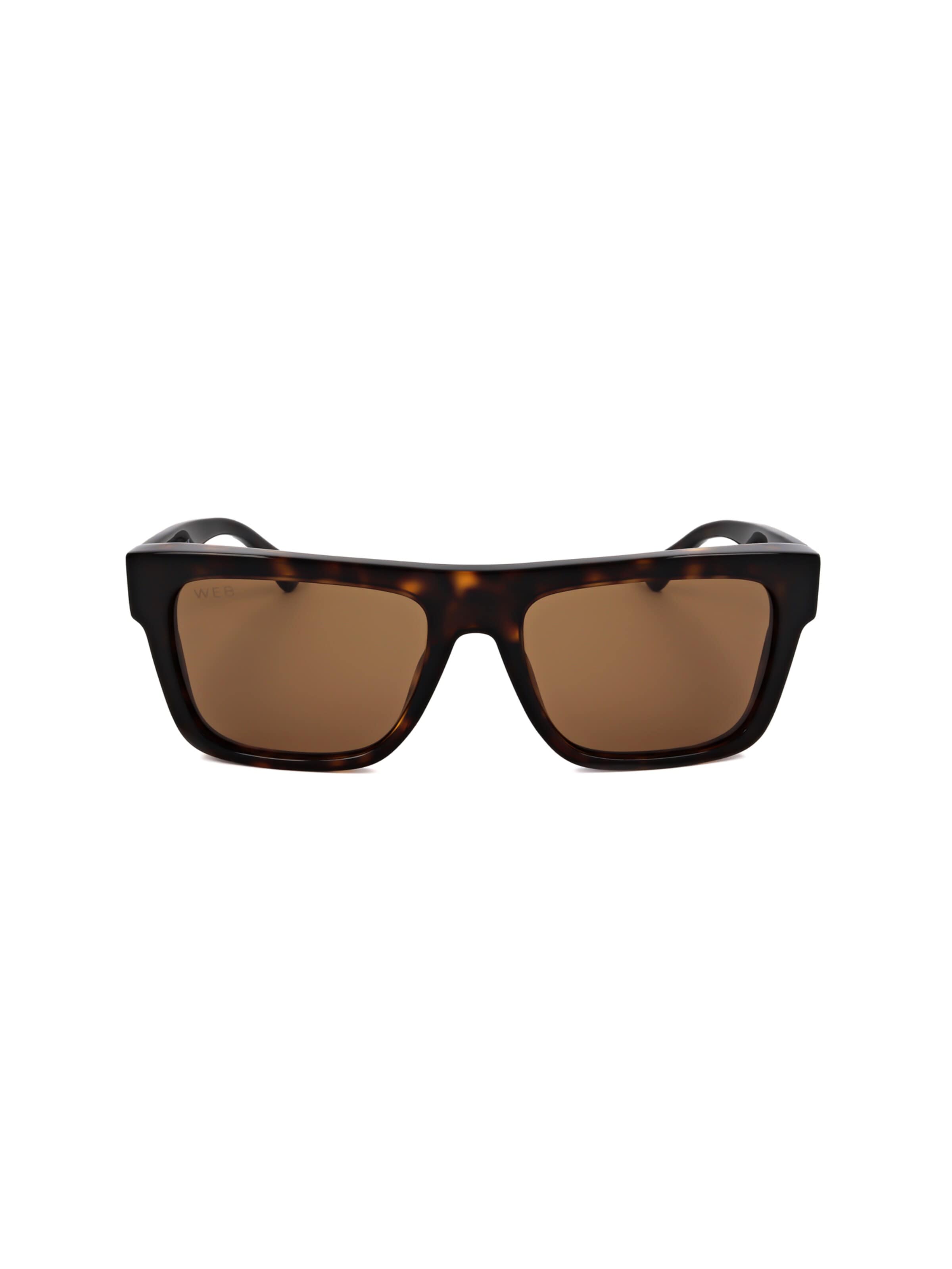 Occhiali da sole 'WE0334' di Web Eyewear in marrone: frontale