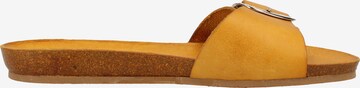 COSMOS COMFORT Mules in Yellow