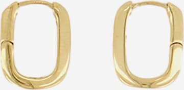 My Jewellery Earrings in Gold: front