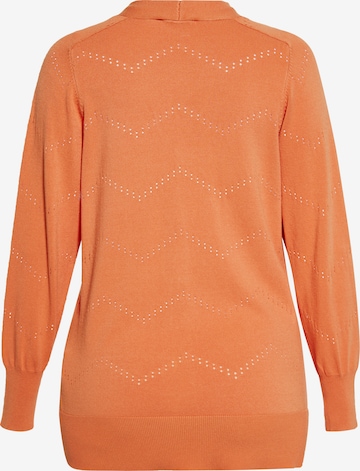 usha FESTIVAL Strickjacke in Orange