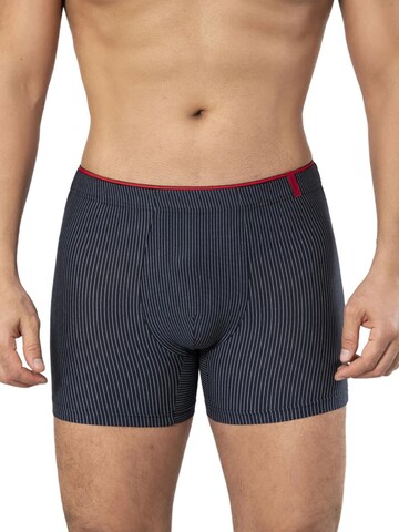 Weweus Board shorts in Mixed colours