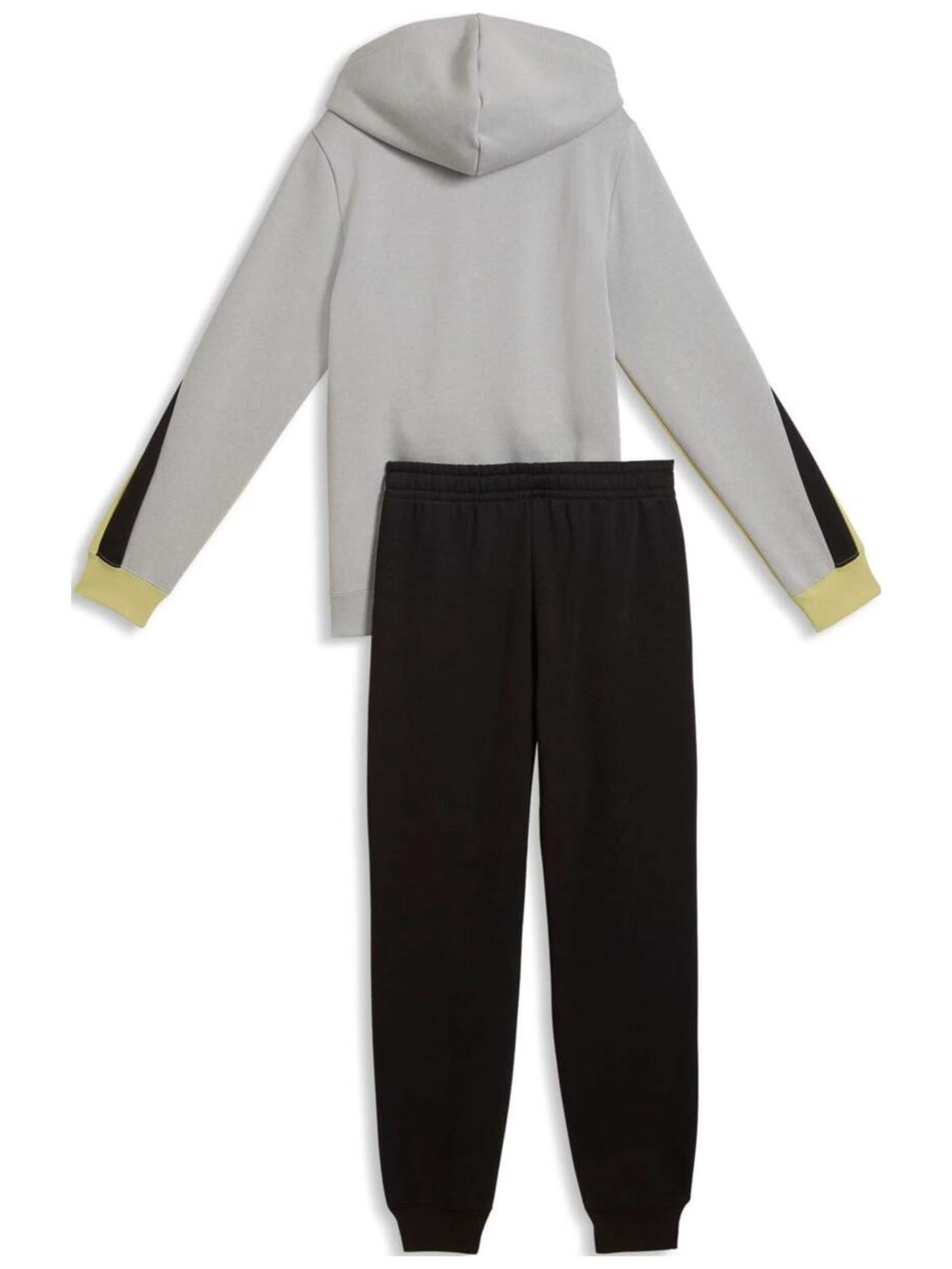 Giacca di felpa 'Puma Ess Block Full-zip Sweat Suit B' di PUMA in grigio