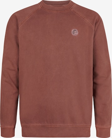 O'NEILLSweater majica - smeđa boja: prednji dio