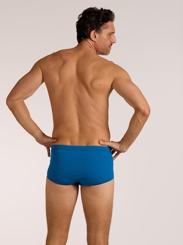 wavebreaker Swim Trunks in Blue