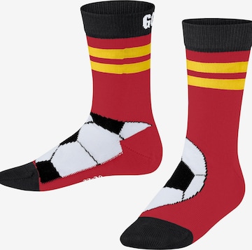 FALKE Socken 'Active Soccer' in Rot: Vorderseite