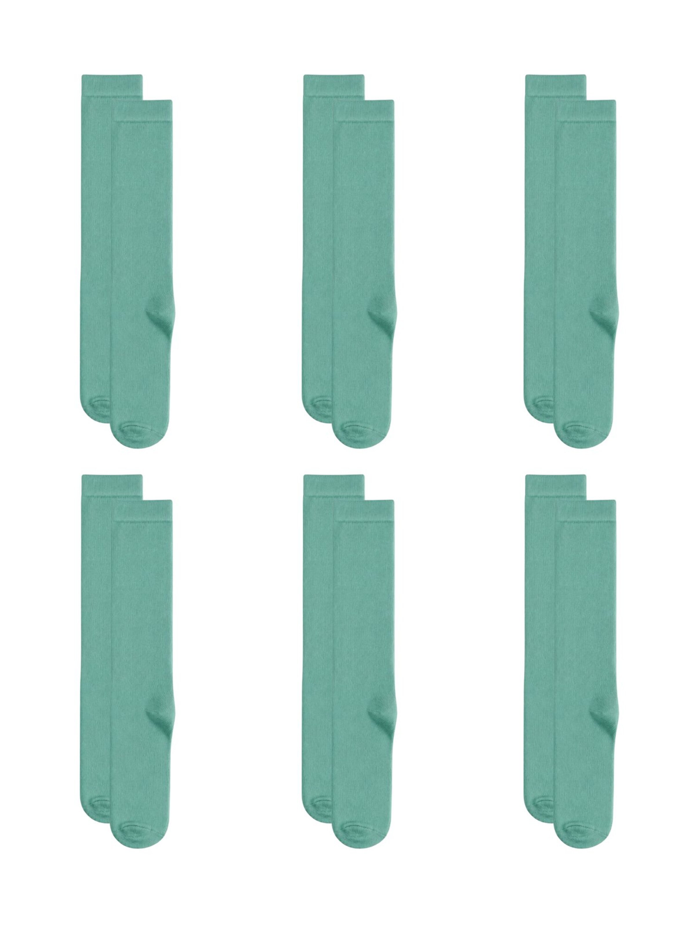 Albero Natur Socks 'Bio-Baumwoll-Kinderkniestrümpfe – 6er Pack' in Green: front