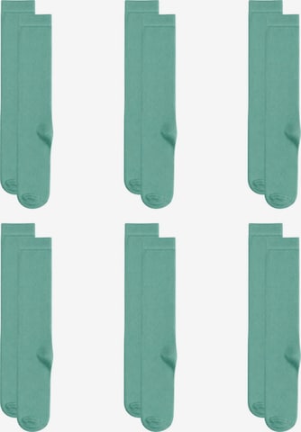 Albero Natur Socks 'Bio-Baumwoll-Kinderkniestrümpfe – 6er Pack' in Green: front