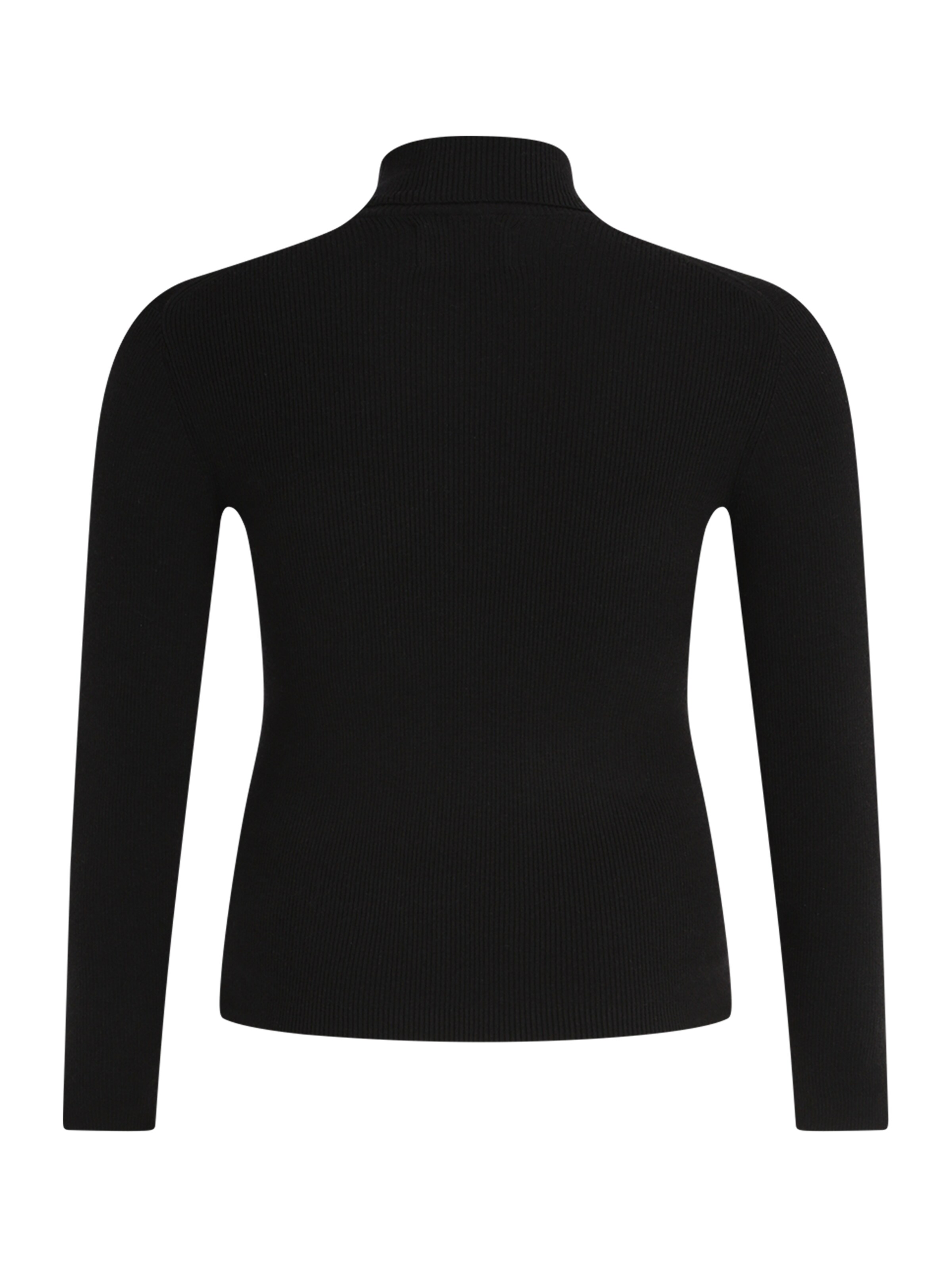 Calvin Klein Jeans Curve Trui in Zwart