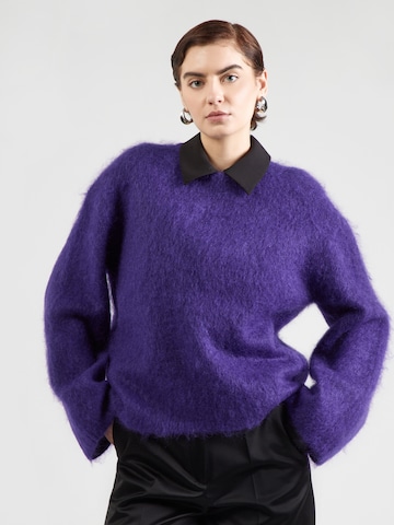Pull-over & Other Stories en violet : devant