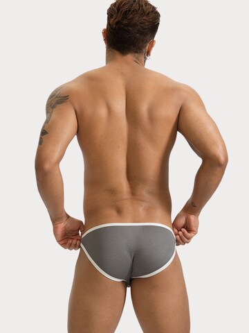 TAUWELL Panty 'Brief' in Grey