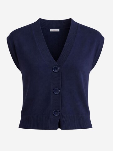 Il Lanificio Knit Cardigan in Blue: front