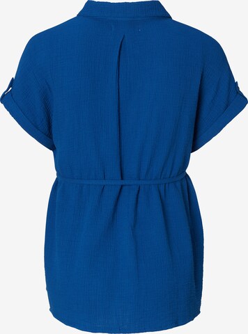 Esprit Maternity Bluse in Blau