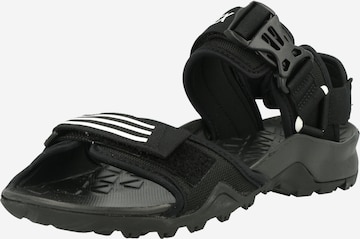 ADIDAS TERREX Sandal 'Cyprex Ultra Dlx' i svart: framsida