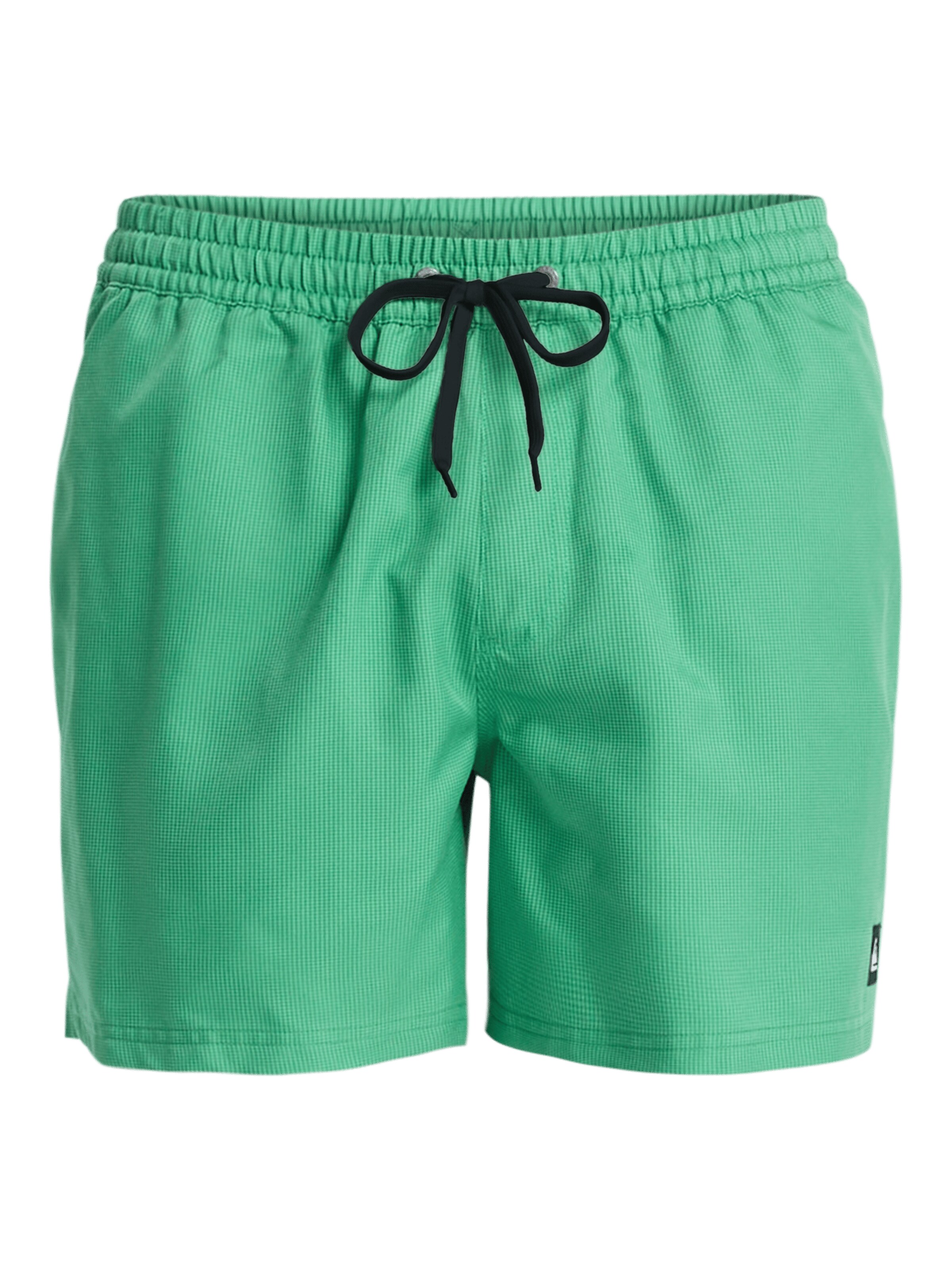 QUIKSILVER Board Shorts 'Everyday Deluxe 15' in Green, Item view