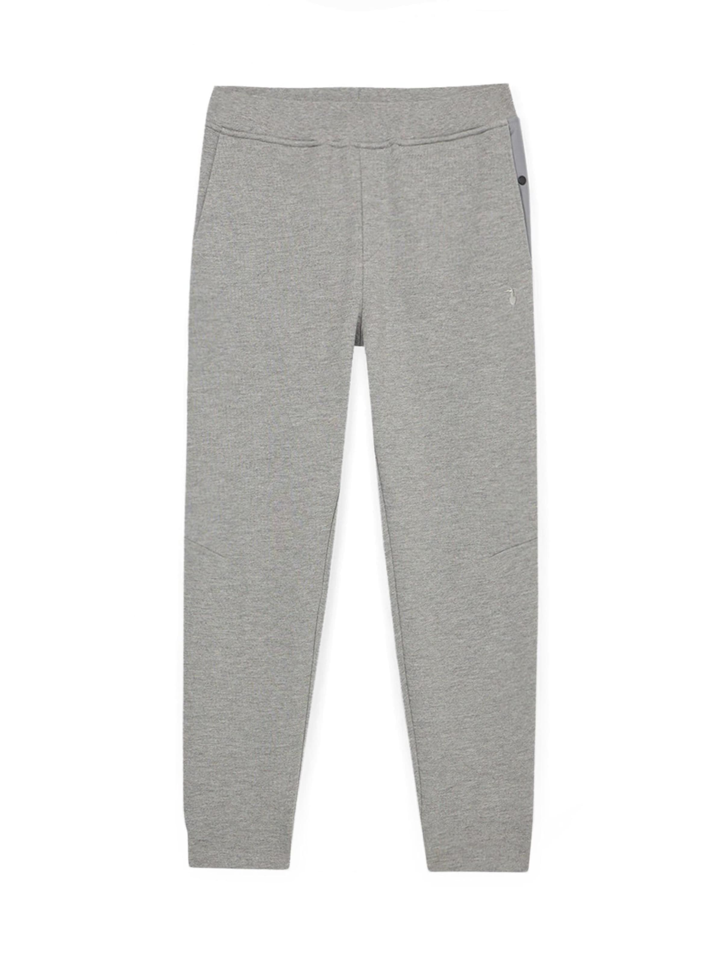 Regular Pantalon Trussardi en gris : devant