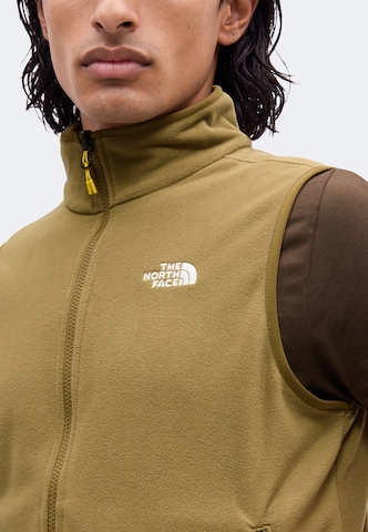 THE NORTH FACE Urheiluliivi 'GLACIER' värissä beige
